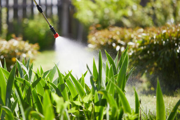24/7 Emergency Wasp Removal experts in Weston, FL