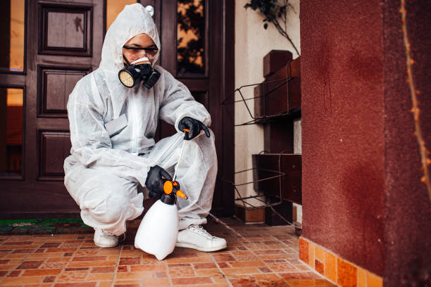 Reliable Wasp Removal contractor in Weston, FL by Show Me Pest Control